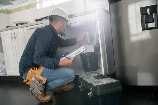 Best Plumbing Services Near Me  in Larimore, ND
