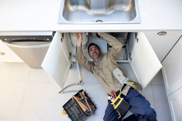 Best Plumbing Inspection Services  in Larimore, ND