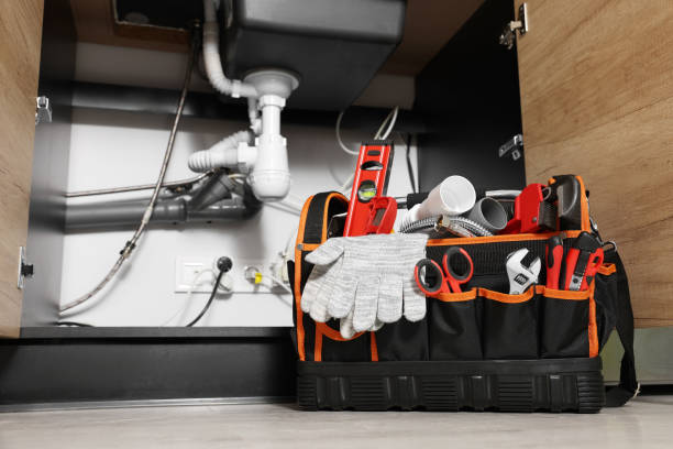 Best Best Plumbers Near Me  in Larimore, ND